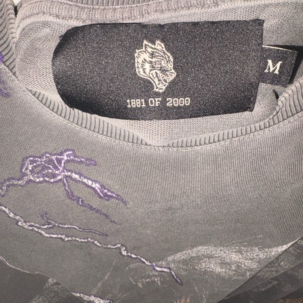Darc Sport Gray and Purple - Picture 2 of 3